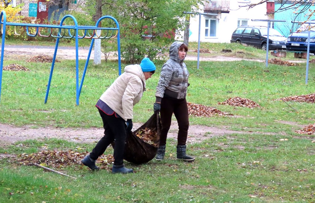 Кусты самшита и чистые улицы: климовчане продолжают наводить порядок