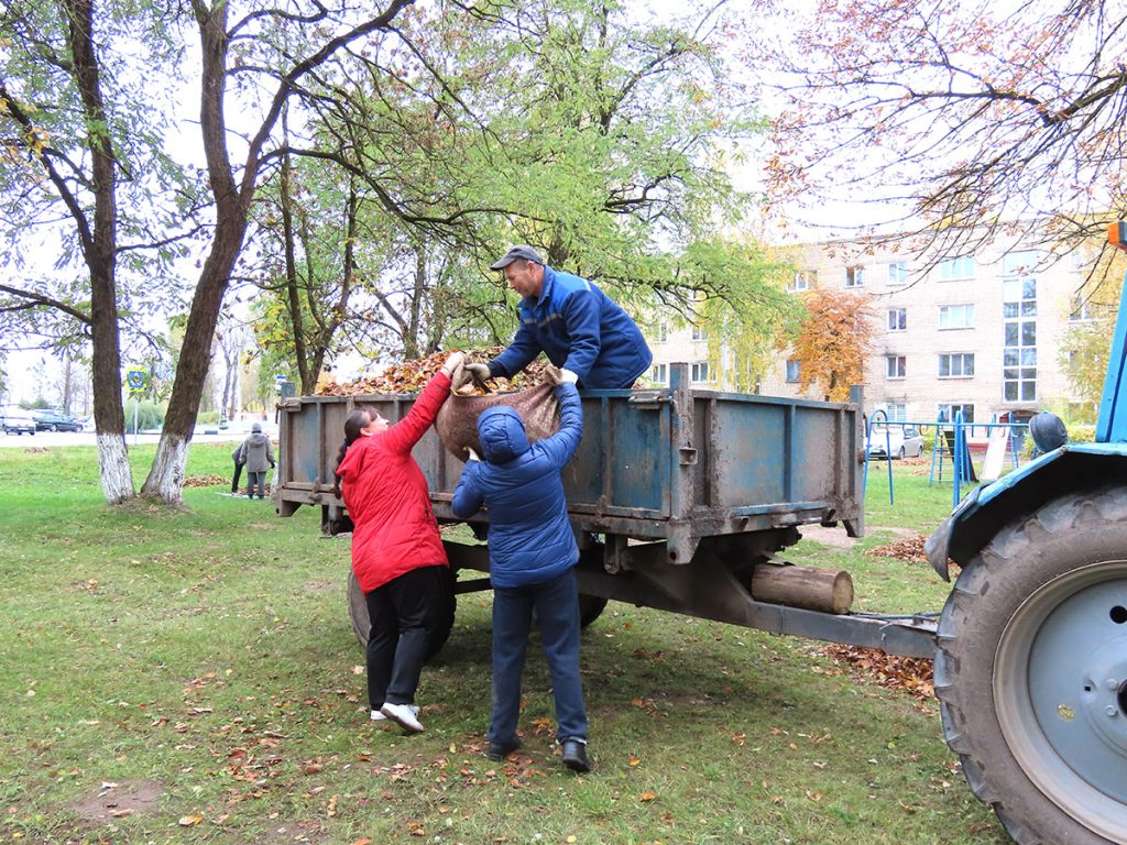 Кусты самшита и чистые улицы: климовчане продолжают наводить порядок