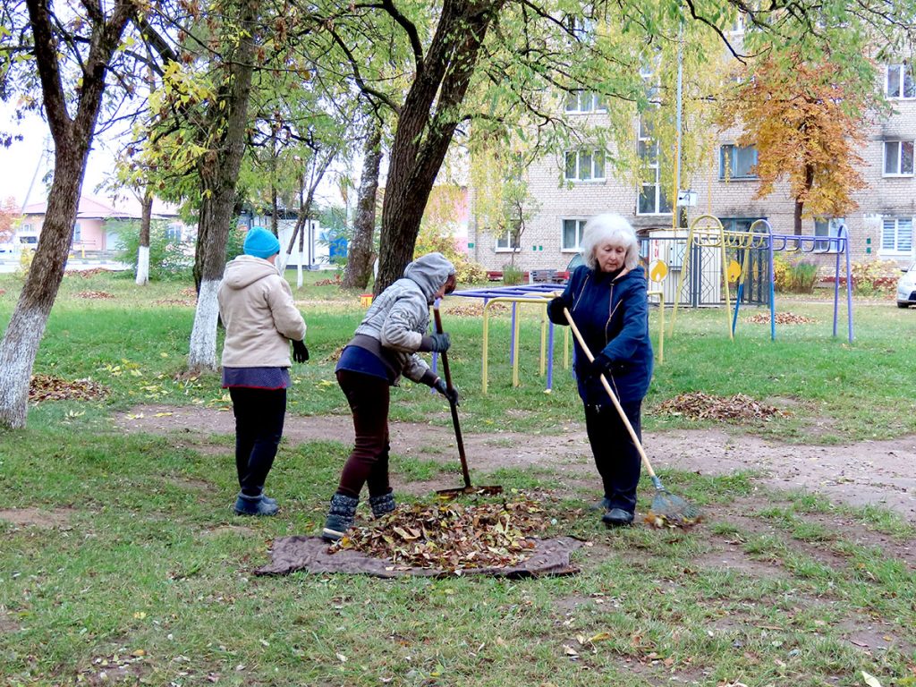 Кусты самшита и чистые улицы: климовчане продолжают наводить порядок