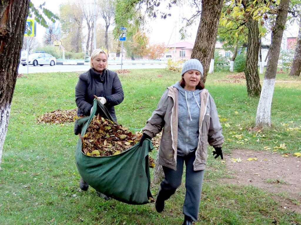 Кусты самшита и чистые улицы: климовчане продолжают наводить порядок