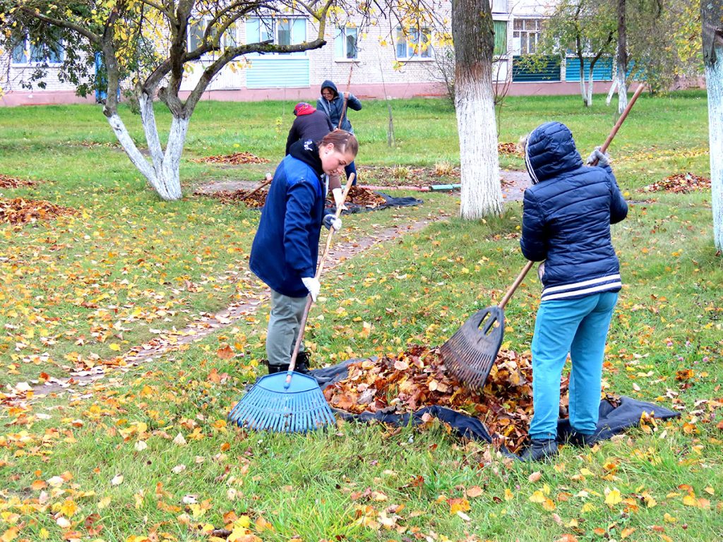 Кусты самшита и чистые улицы: климовчане продолжают наводить порядок