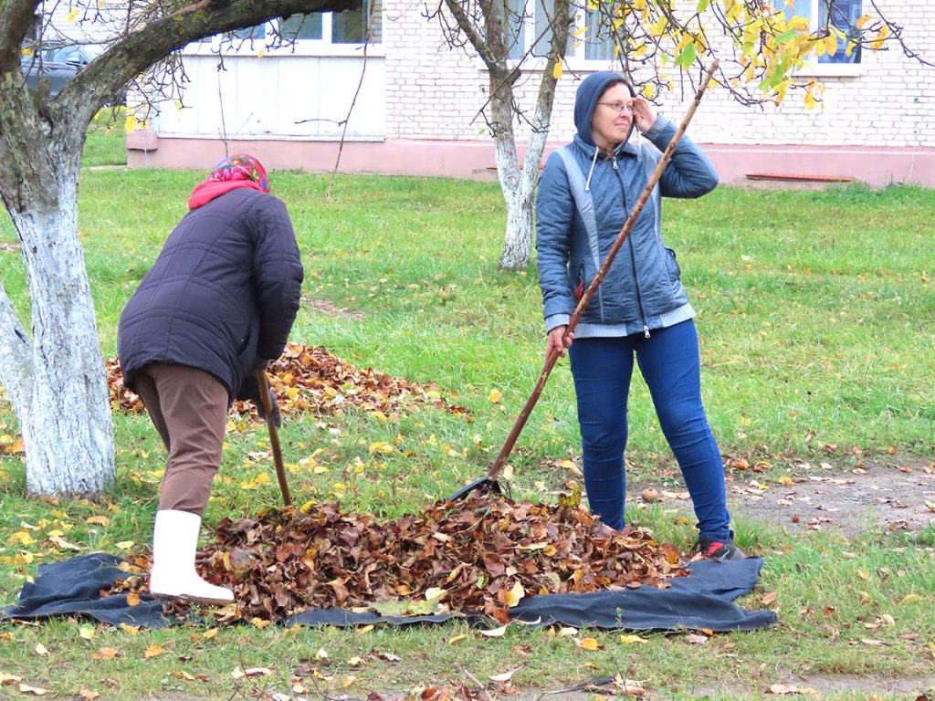 Кусты самшита и чистые улицы: климовчане продолжают наводить порядок
