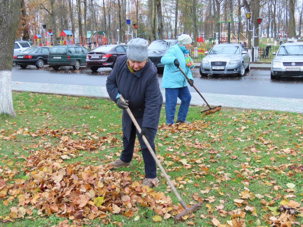 Важен вклад каждого: председатель Климовичского райсовета ветеранов Валентина Цыганкова о республиканском субботнике