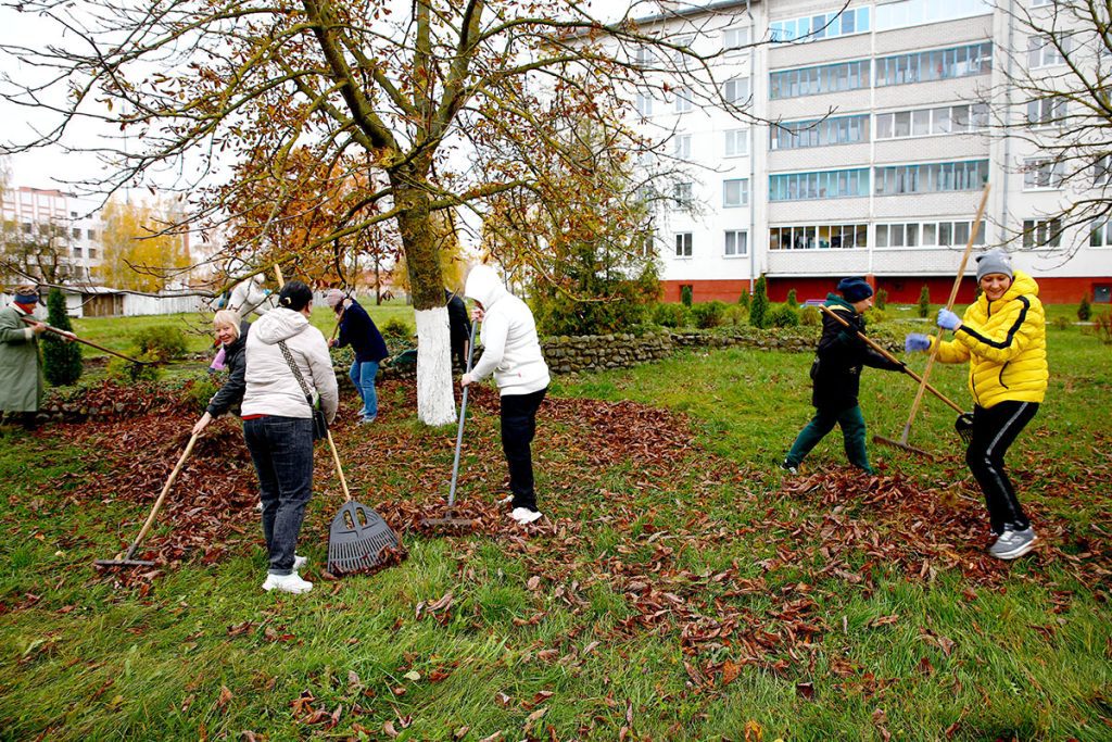 На Климовщине проходит республиканский субботник