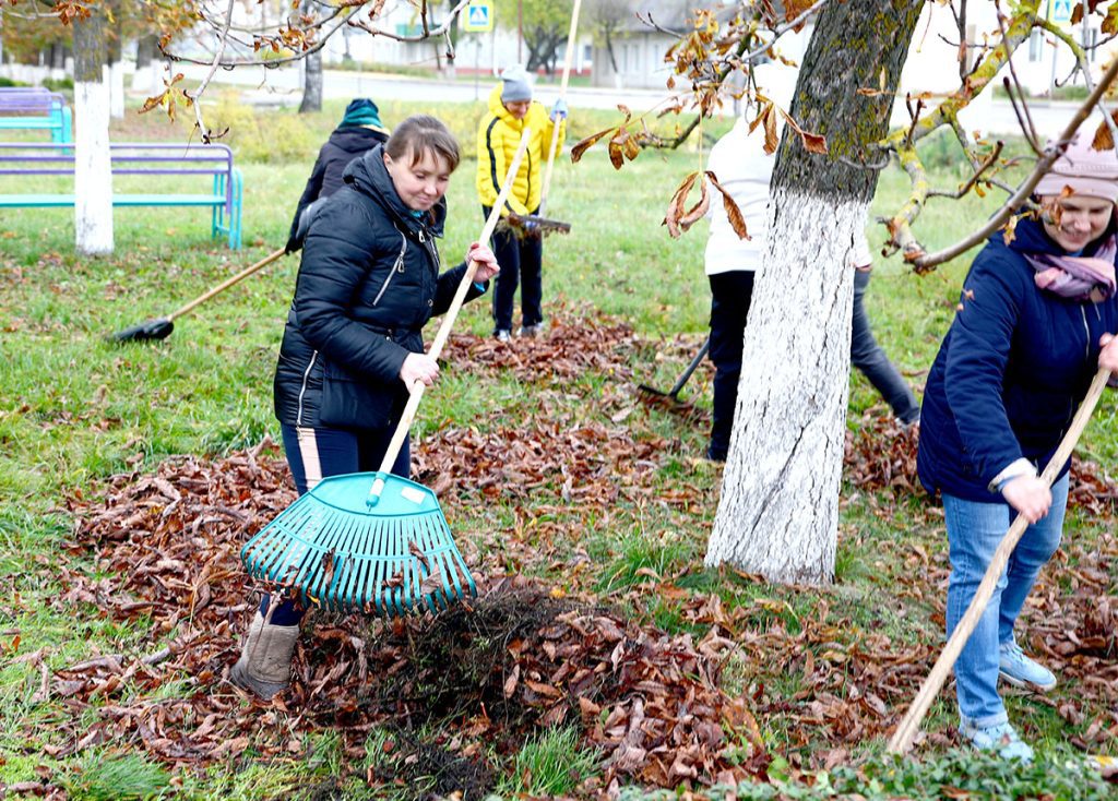 На Климовщине проходит республиканский субботник