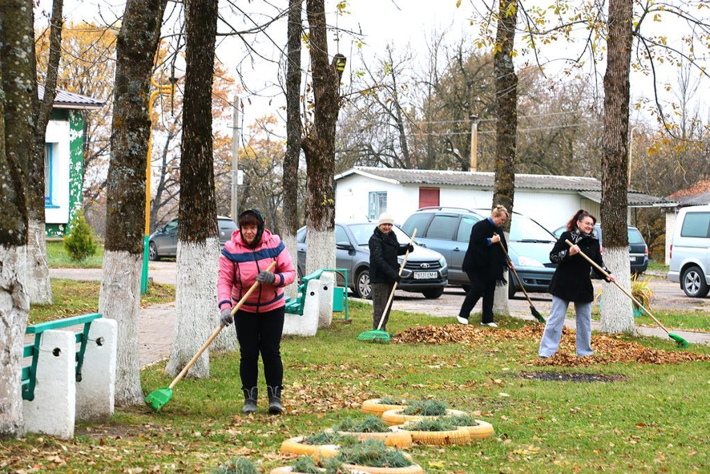 На Климовщине проходит республиканский субботник