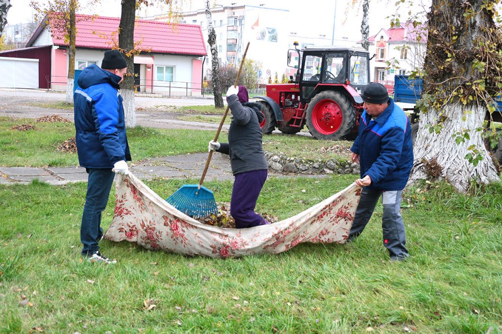 На Климовщине проходит республиканский субботник
