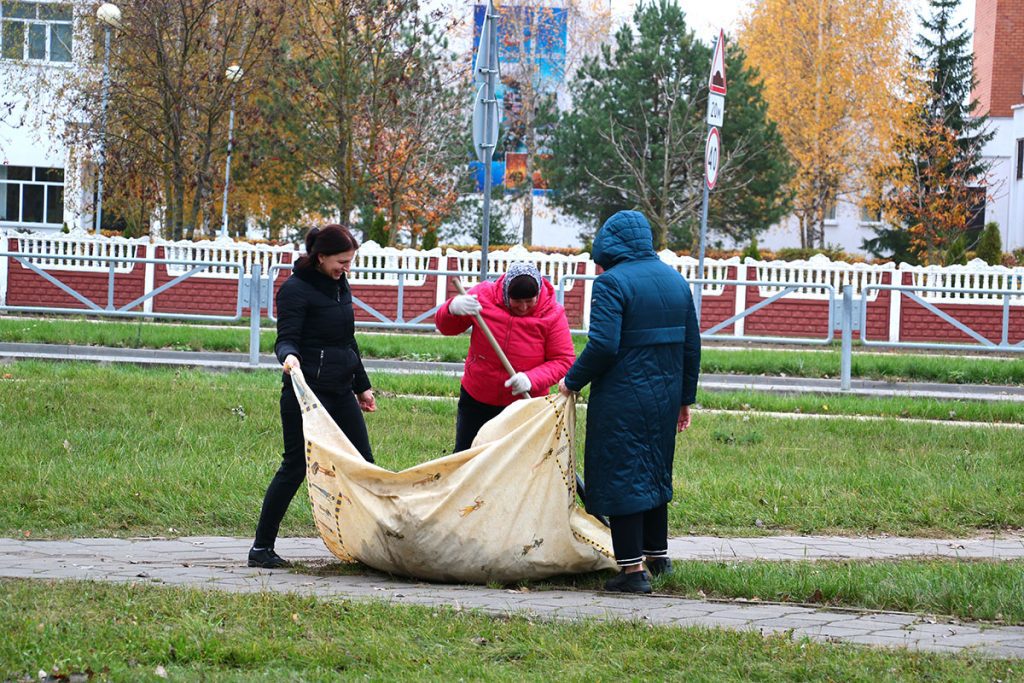 На Климовщине проходит республиканский субботник