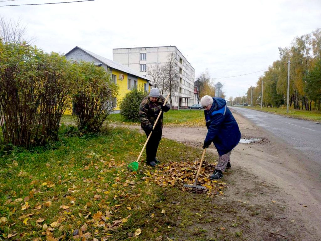 Кусты самшита и чистые улицы: климовчане продолжают наводить порядок