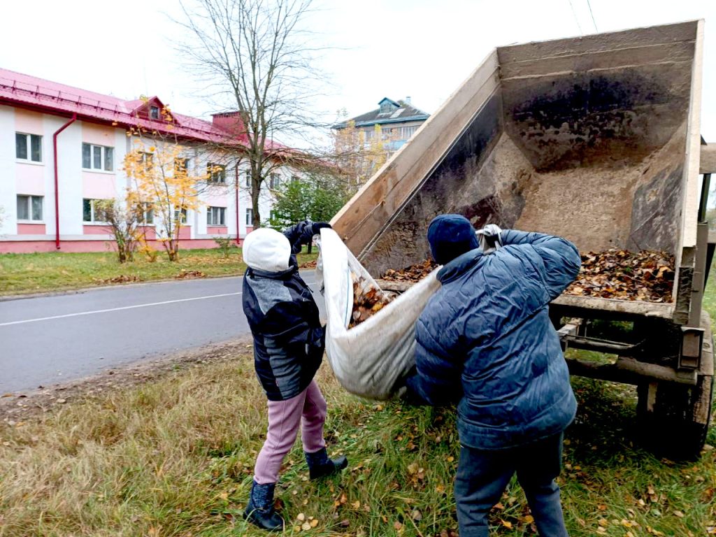 Кусты самшита и чистые улицы: климовчане продолжают наводить порядок