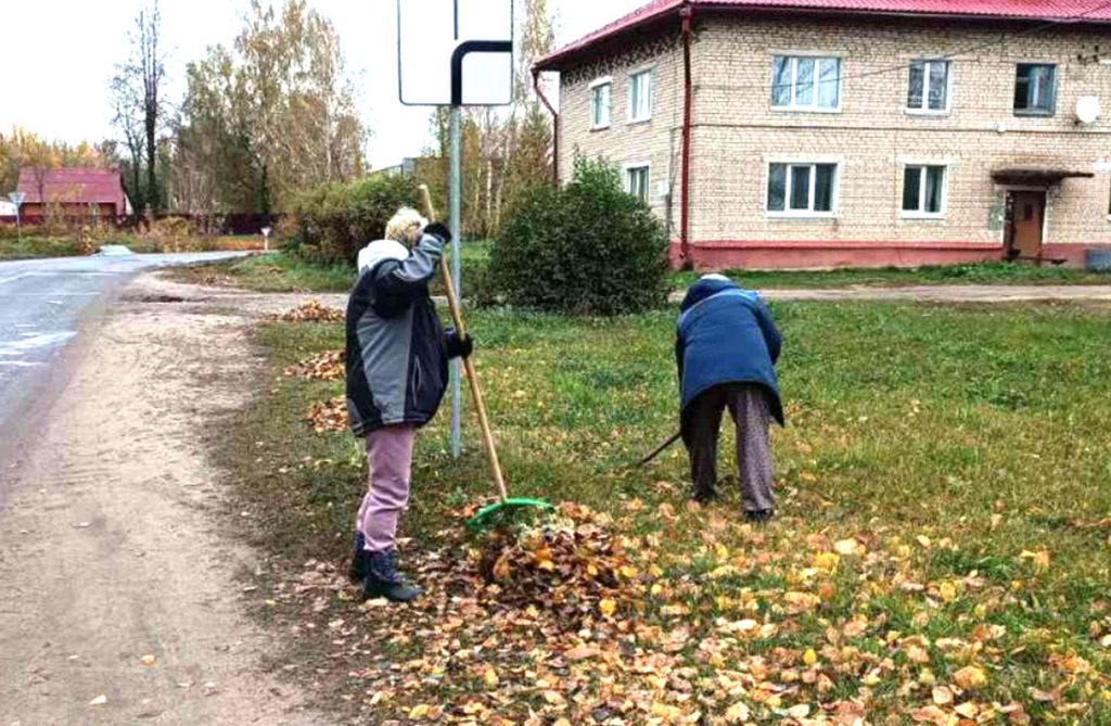 Кусты самшита и чистые улицы: климовчане продолжают наводить порядок