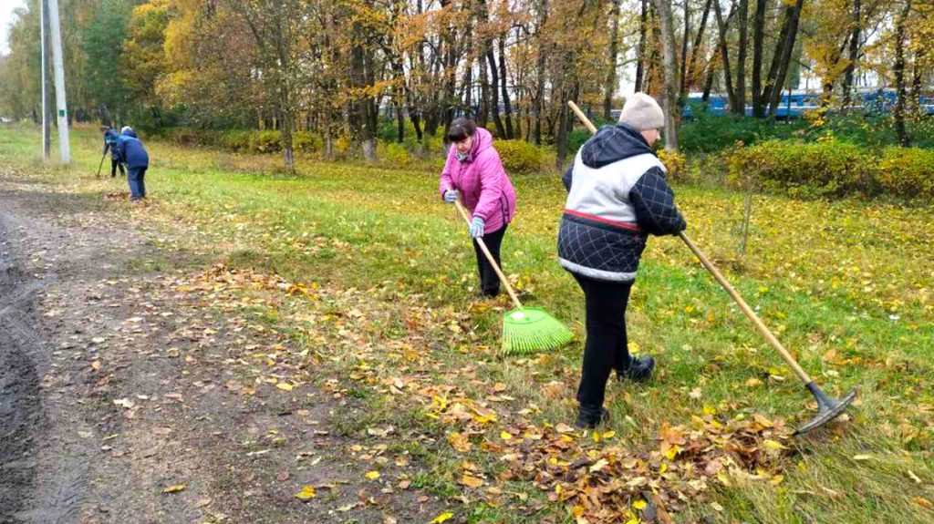 Кусты самшита и чистые улицы: климовчане продолжают наводить порядок
