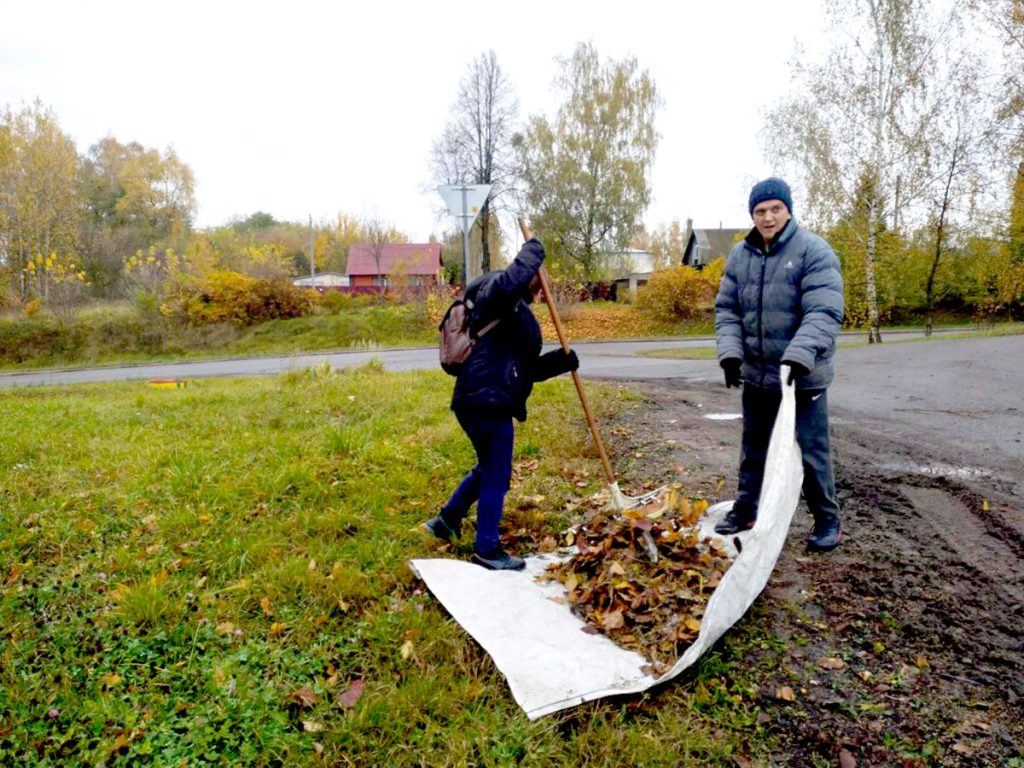 Кусты самшита и чистые улицы: климовчане продолжают наводить порядок