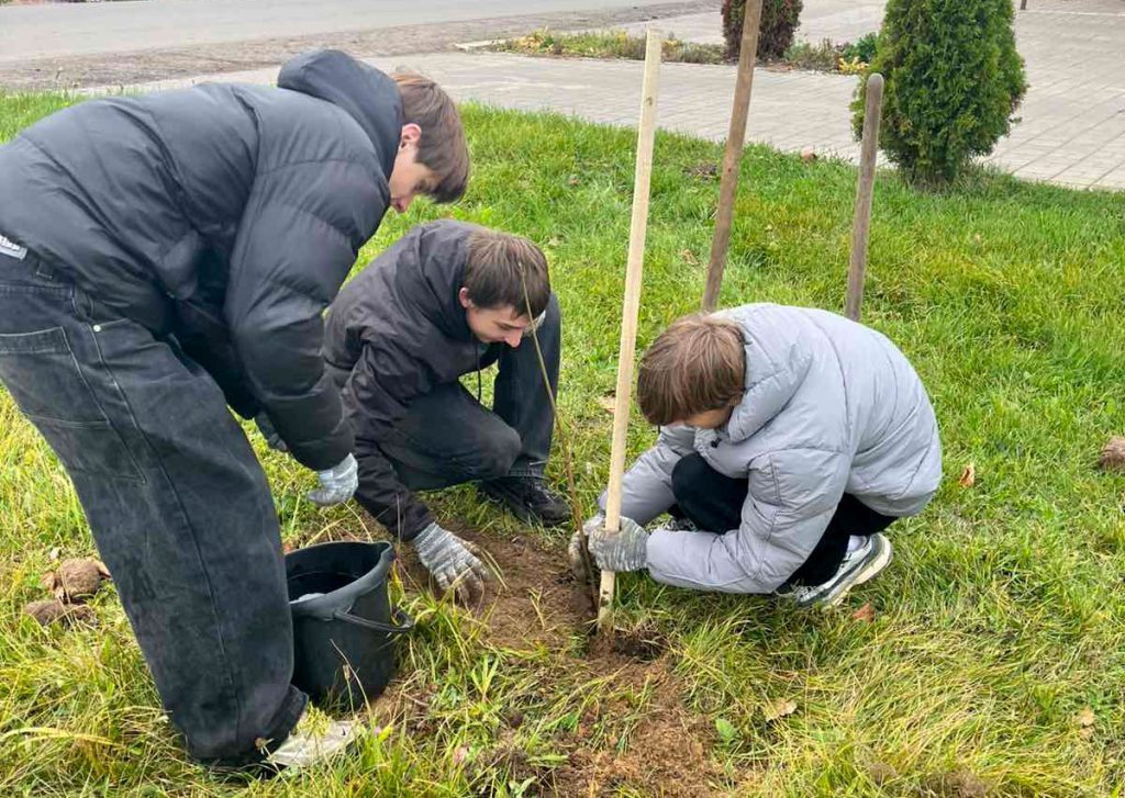 Молодежь Климовщины трудится на республиканском субботнике