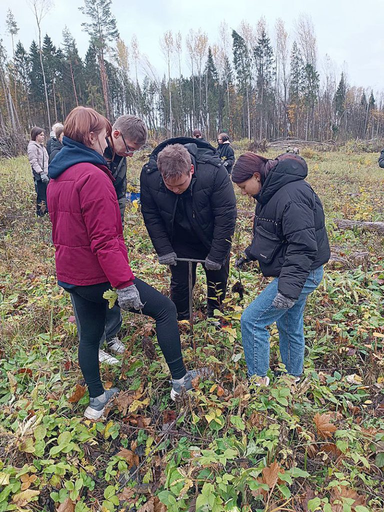 Климовчане активно участвуют в акции «Дай лесу новае жыццё!»