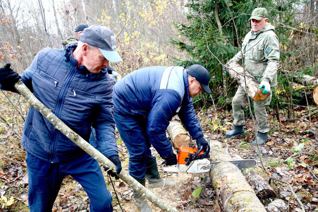 Климовчане благоустраивают придорожные полосы