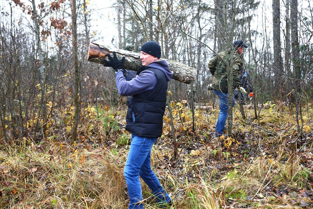 Климовчане благоустраивают придорожные полосы