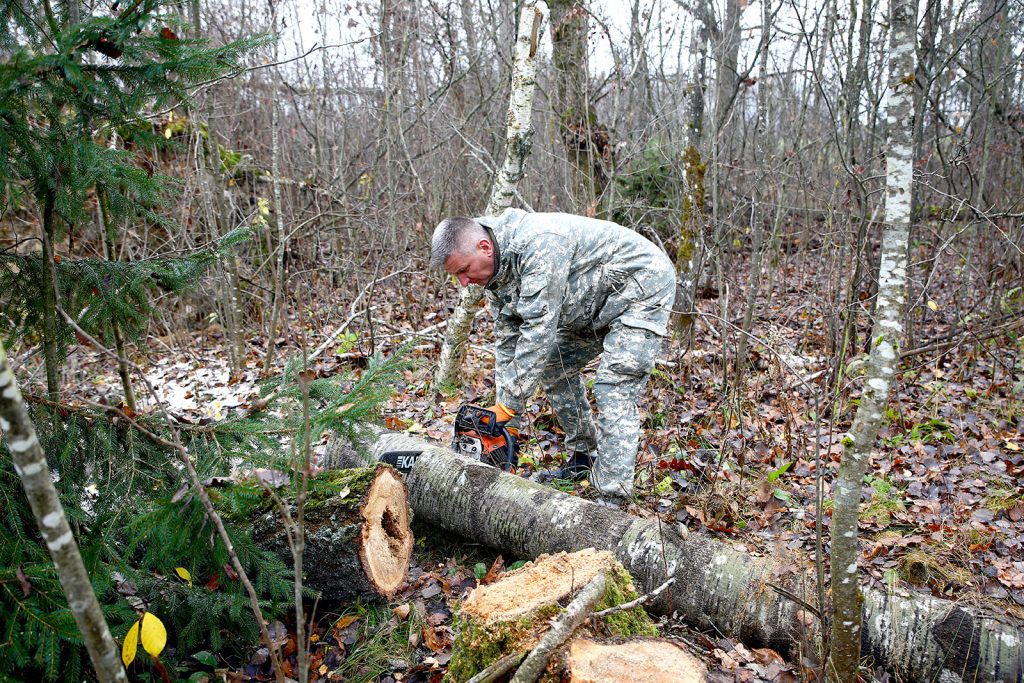 Климовчане благоустраивают придорожные полосы