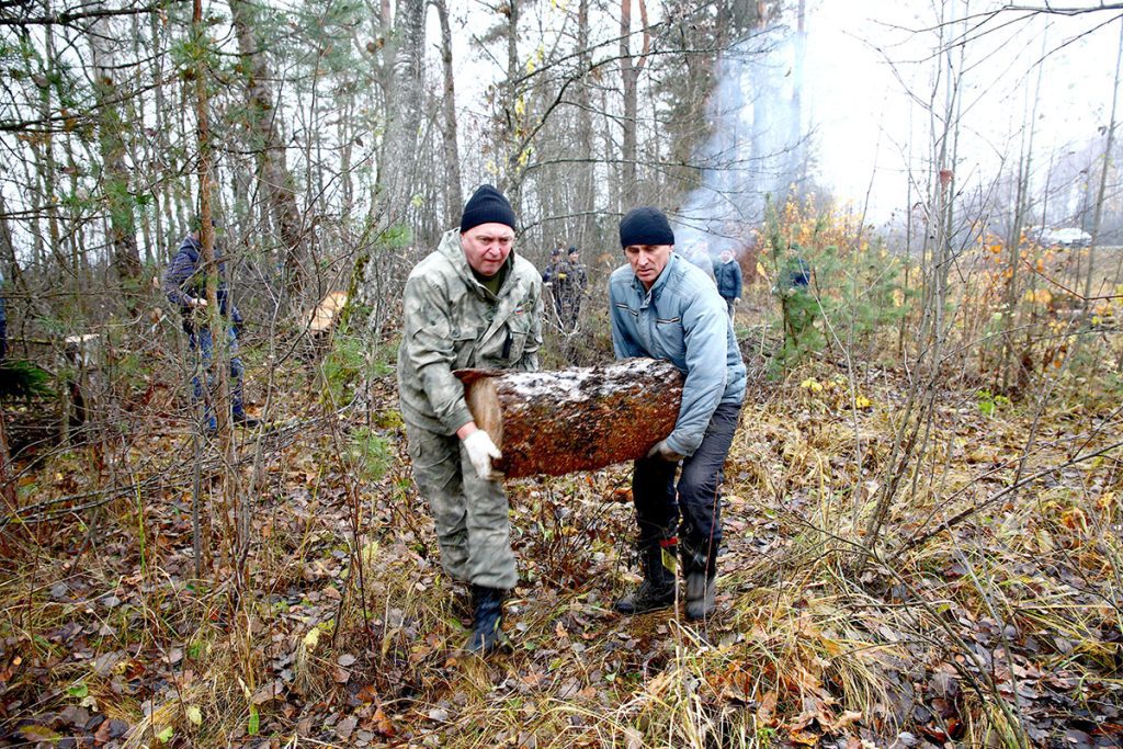 Климовчане благоустраивают придорожные полосы