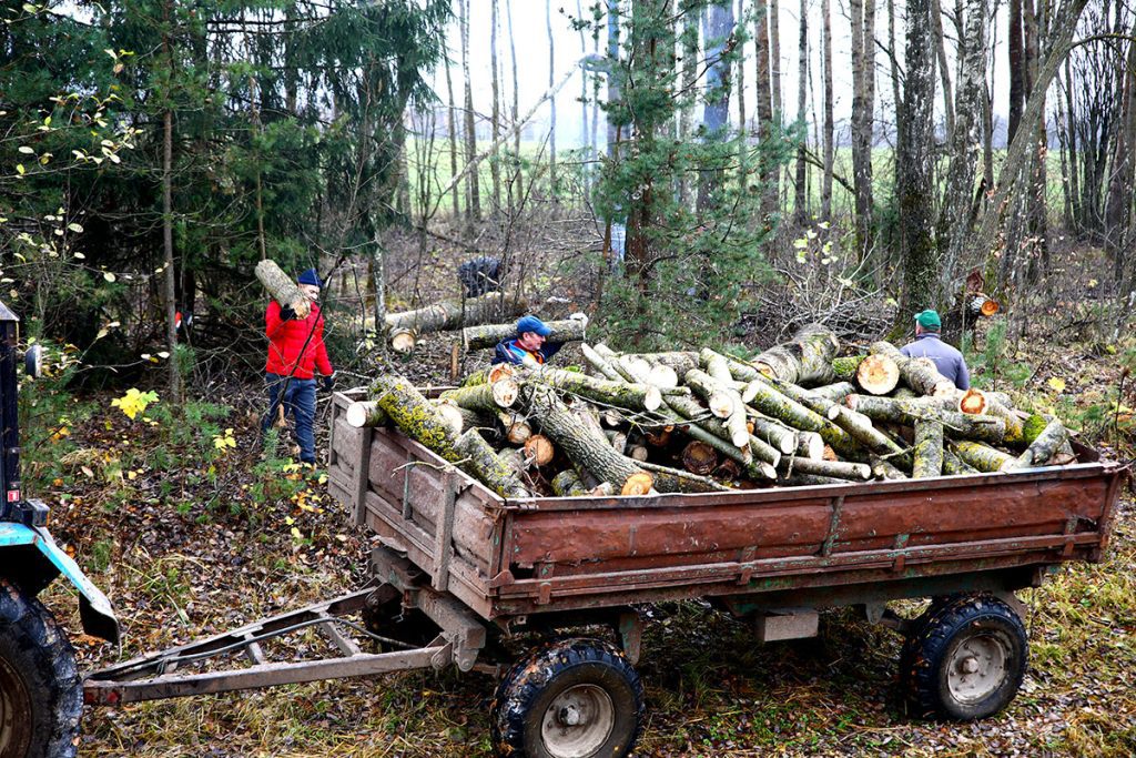 Климовчане благоустраивают придорожные полосы