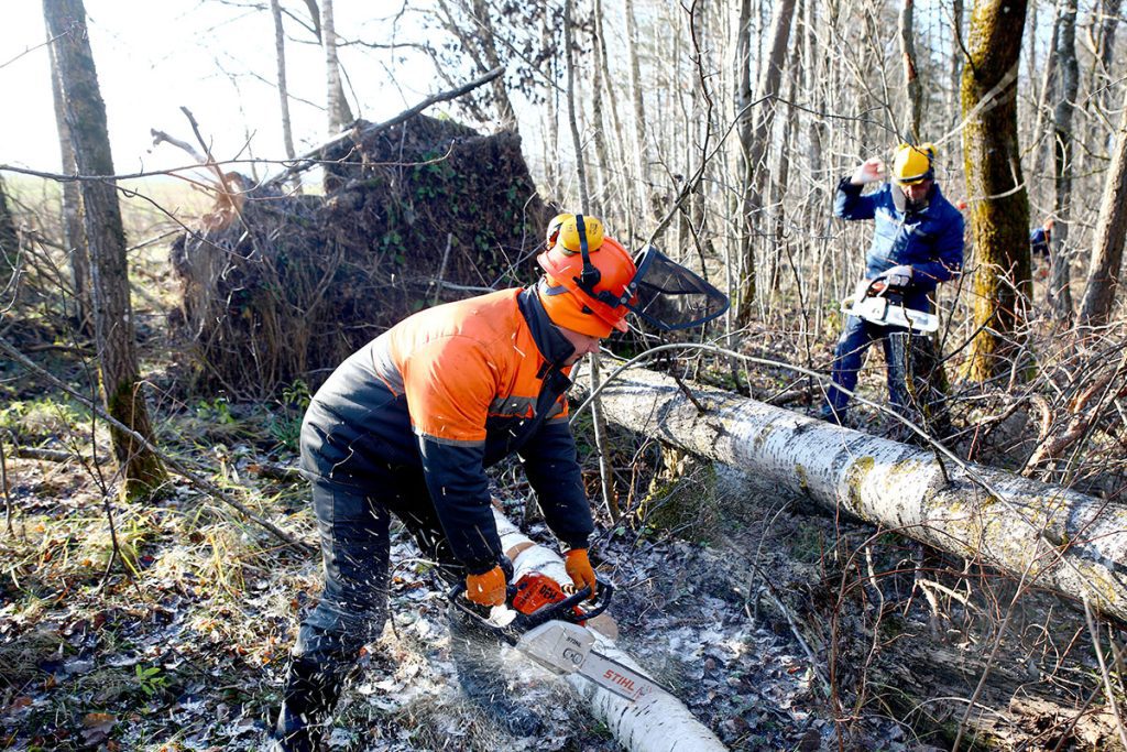 На Климовщине благоустраивали общественные территории