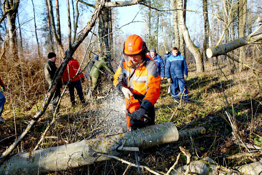 На Климовщине благоустраивали общественные территории