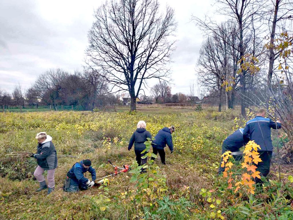 Климовчане благоустраивают общественные территории родного города