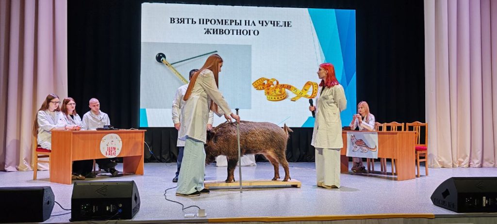 В Климовичском колледже выбирали лучшего по профессии