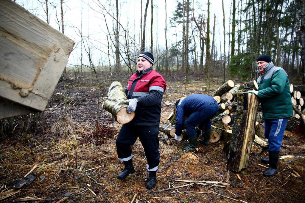 На Климовщине 4 декабря проходит Единый санитарный день