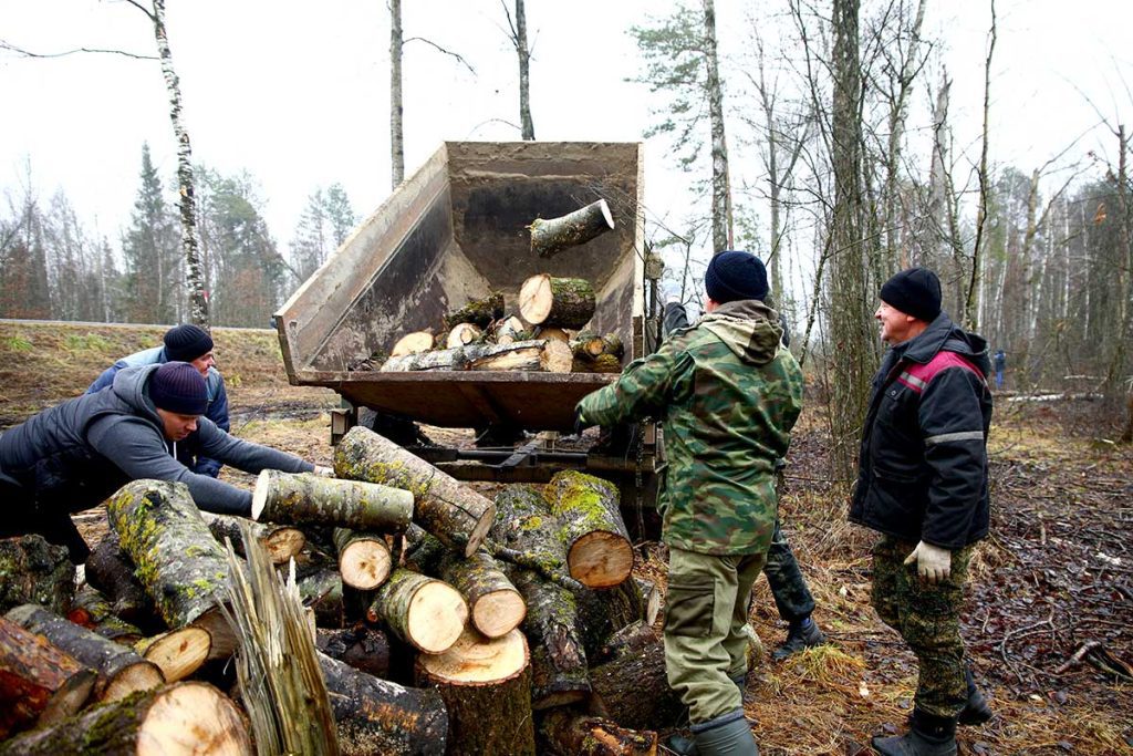 На Климовщине 4 декабря проходит Единый санитарный день