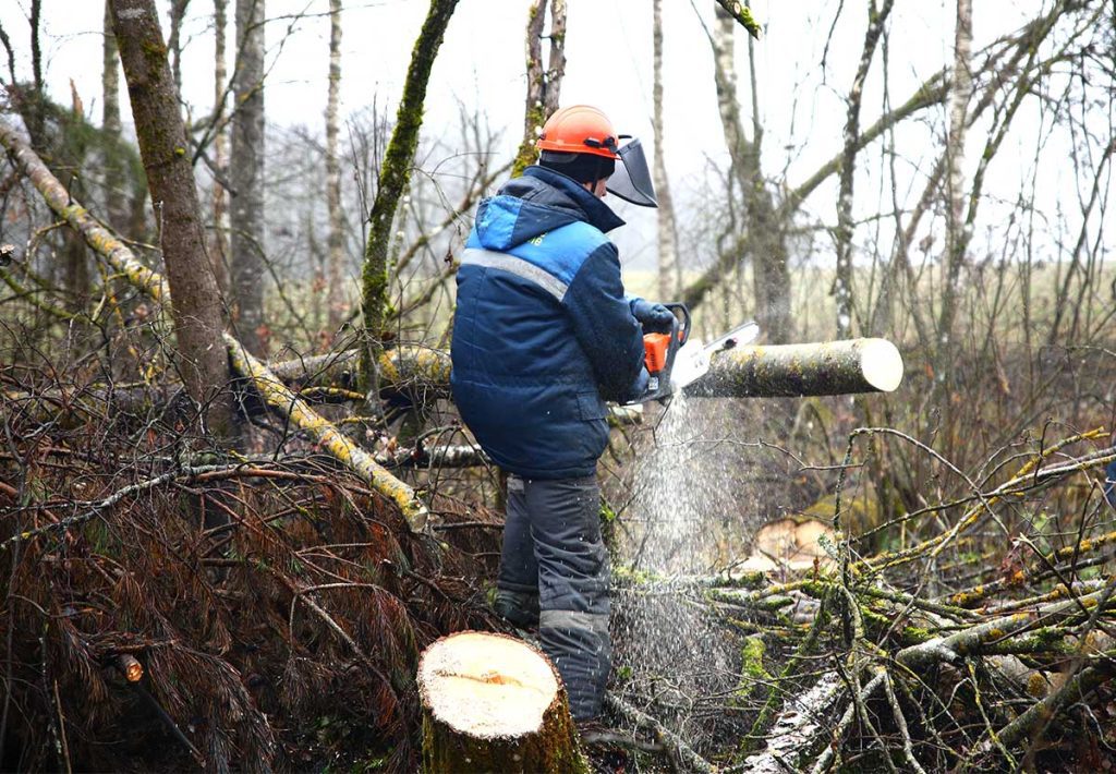 На Климовщине 4 декабря проходит Единый санитарный день