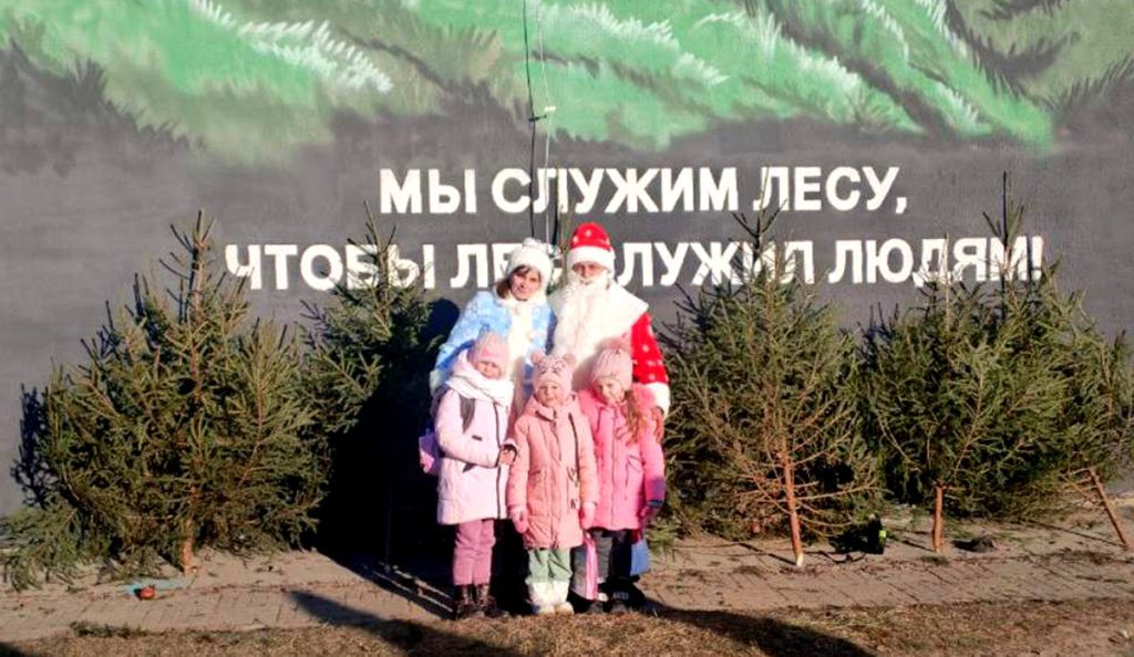 Елочные базары стартовали на Климовщине