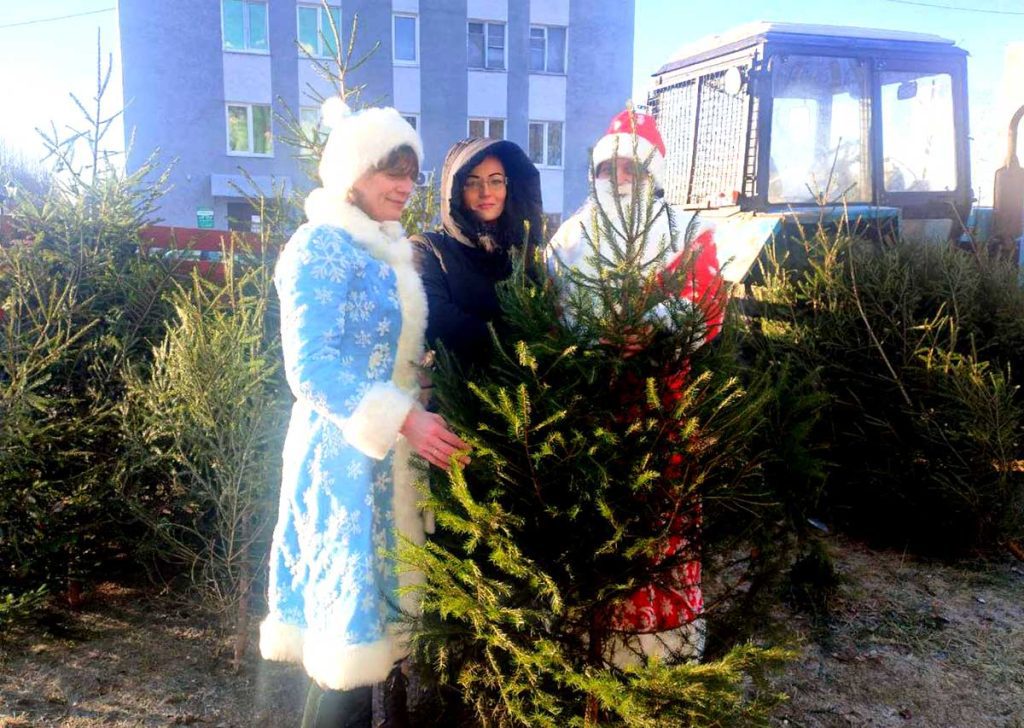 Елочные базары стартовали на Климовщине