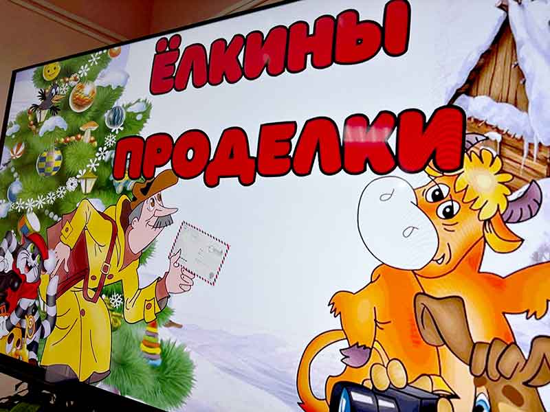 В Климовичах библиотекари устроили новогоднее представление для школьников