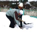 Труженики организаций Климовщины включились в работу по уборке снега