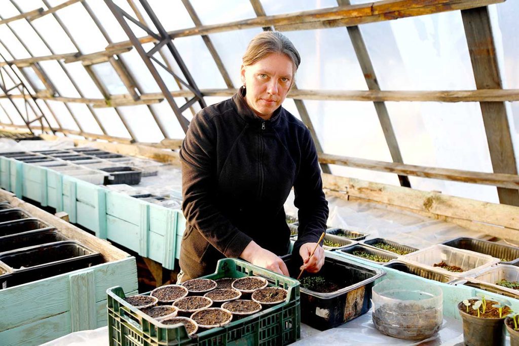 УКП «Коммунальник»: как в Климовичах заботятся о тепле, чистоте и благоустройстве