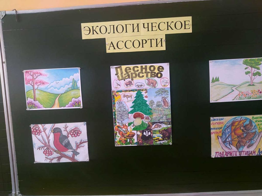 «Из тысячи планет — Земли прекрасней нет!»: как климовичские школьники учились беречь природу