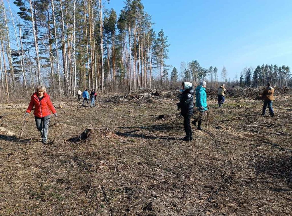 Климовчане поддержали акцию «Лес. Дабро. Парадак»