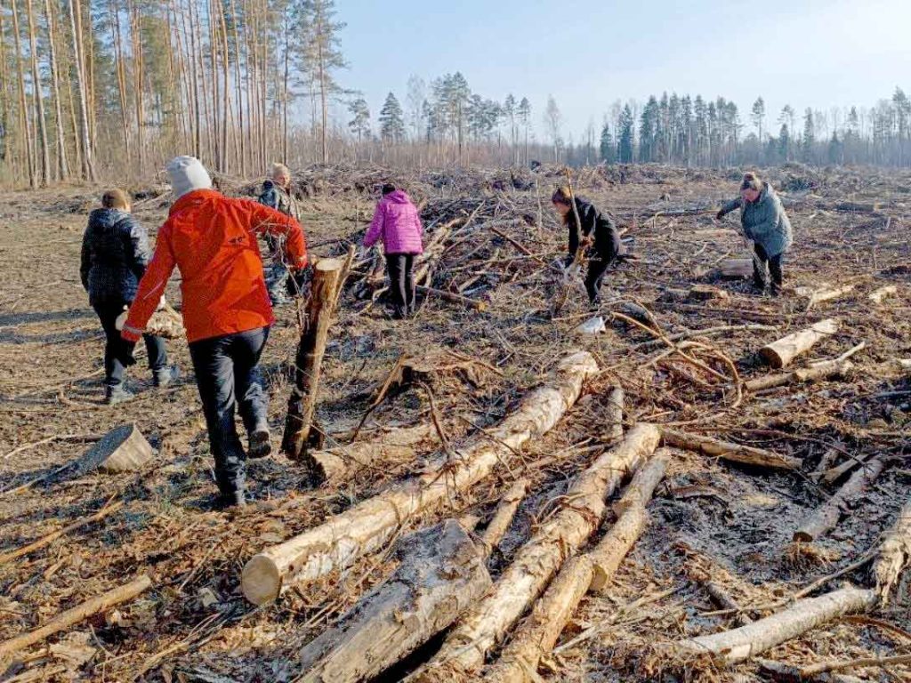Климовчане поддержали акцию «Лес. Дабро. Парадак»