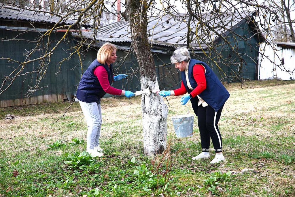 Жители Климовщины наводят порядок в парках и на улицах населенных пунктов