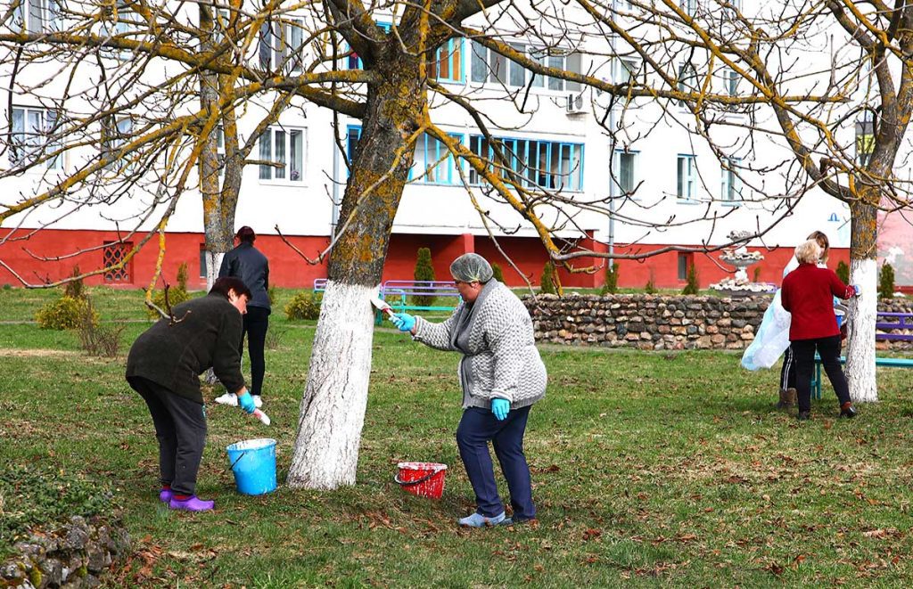 Жители Климовщины наводят порядок в парках и на улицах населенных пунктов