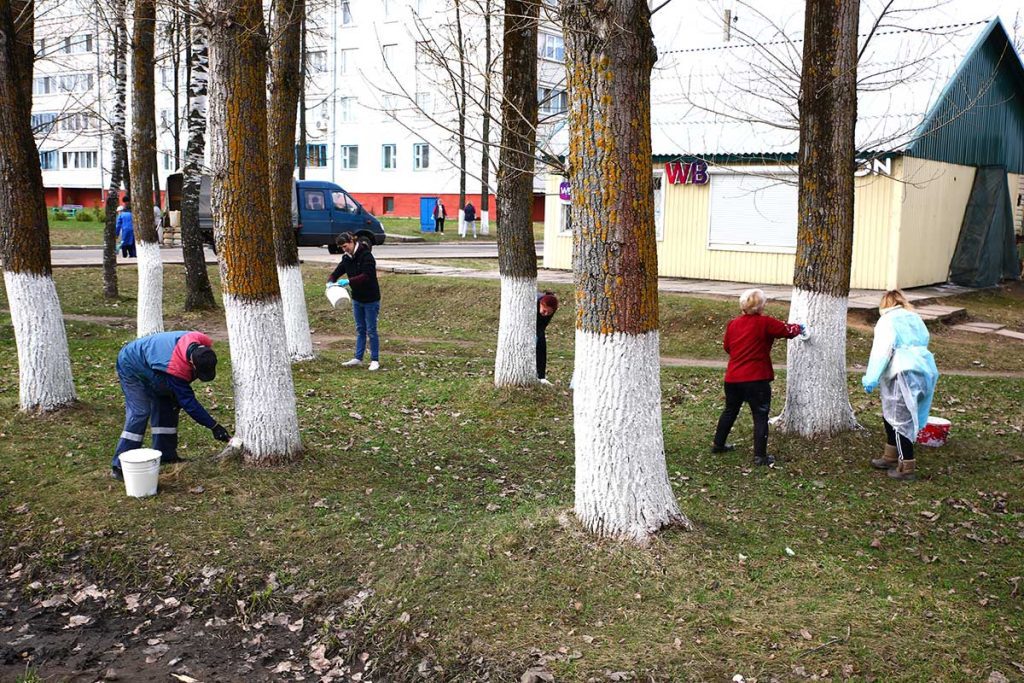Жители Климовщины наводят порядок в парках и на улицах населенных пунктов