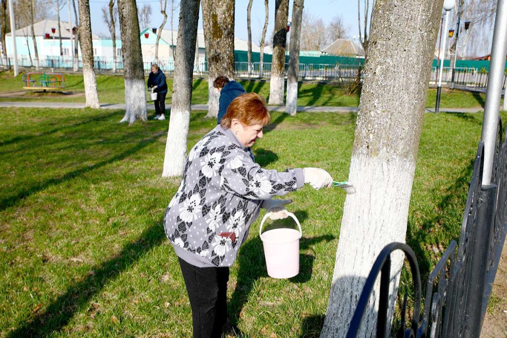 Месячник по благоустройству: как климовчане приводят в порядок парки и аллеи