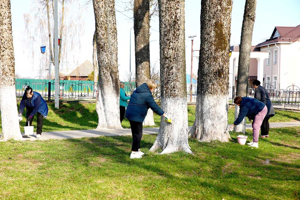 Месячник по благоустройству: как климовчане приводят в порядок парки и аллеи