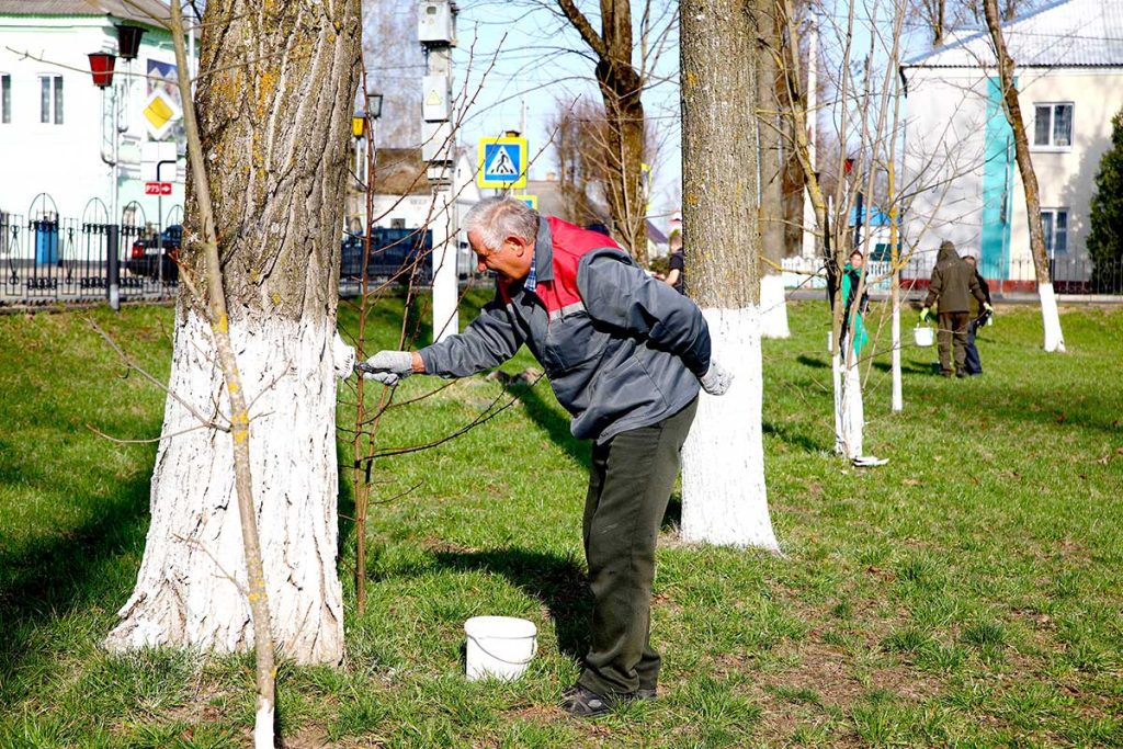 Месячник по благоустройству: как климовчане приводят в порядок парки и аллеи