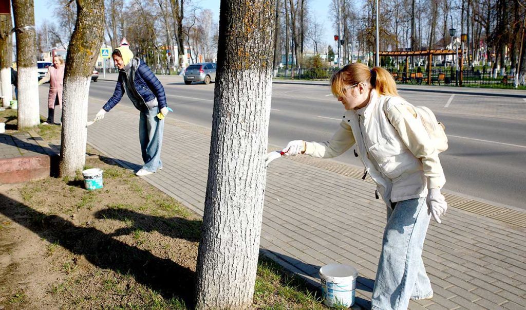 Месячник по благоустройству: как климовчане приводят в порядок парки и аллеи