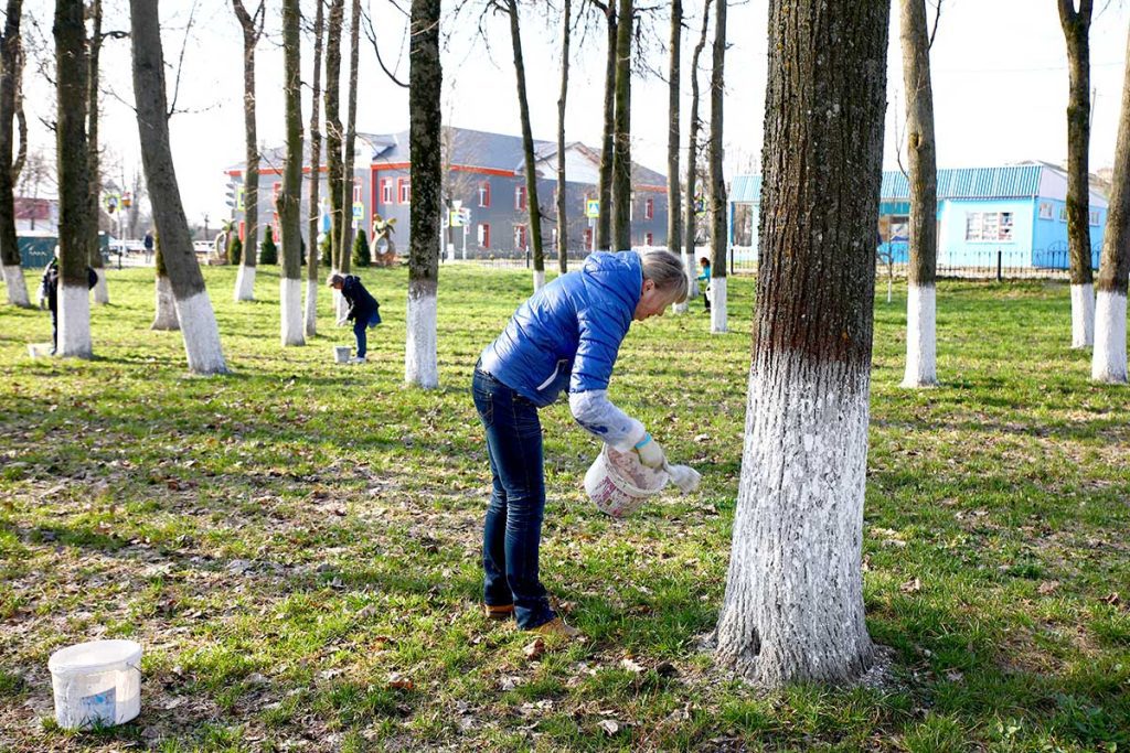 Месячник по благоустройству: как климовчане приводят в порядок парки и аллеи