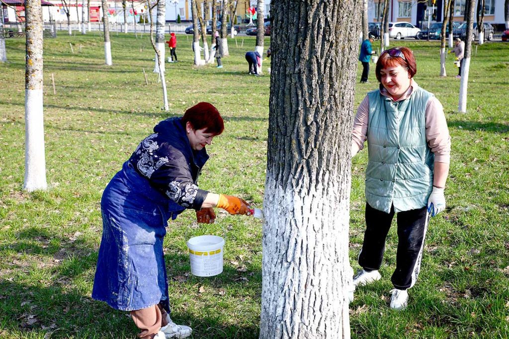 Месячник по благоустройству: как климовчане приводят в порядок парки и аллеи