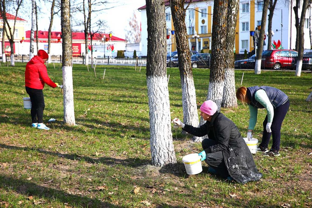 Месячник по благоустройству: как климовчане приводят в порядок парки и аллеи