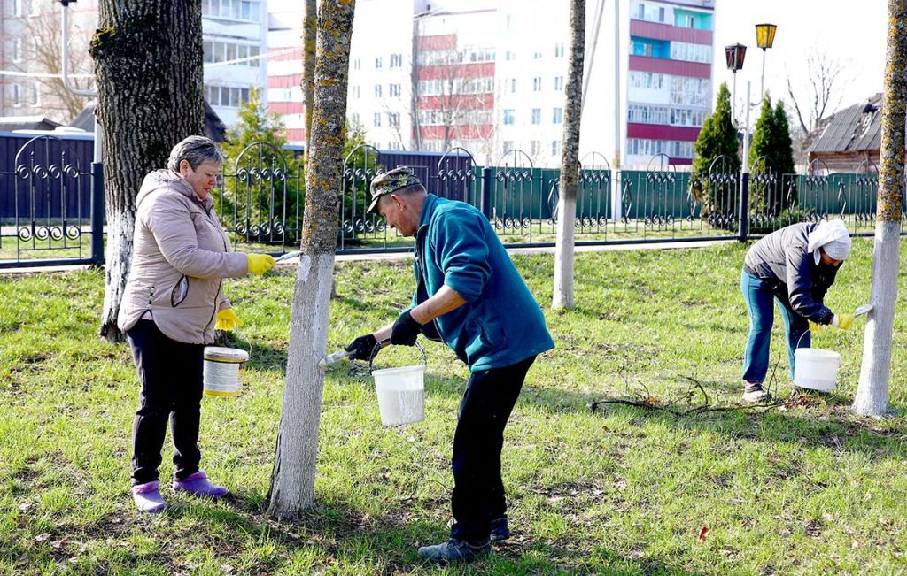 Месячник по благоустройству: как климовчане приводят в порядок парки и аллеи